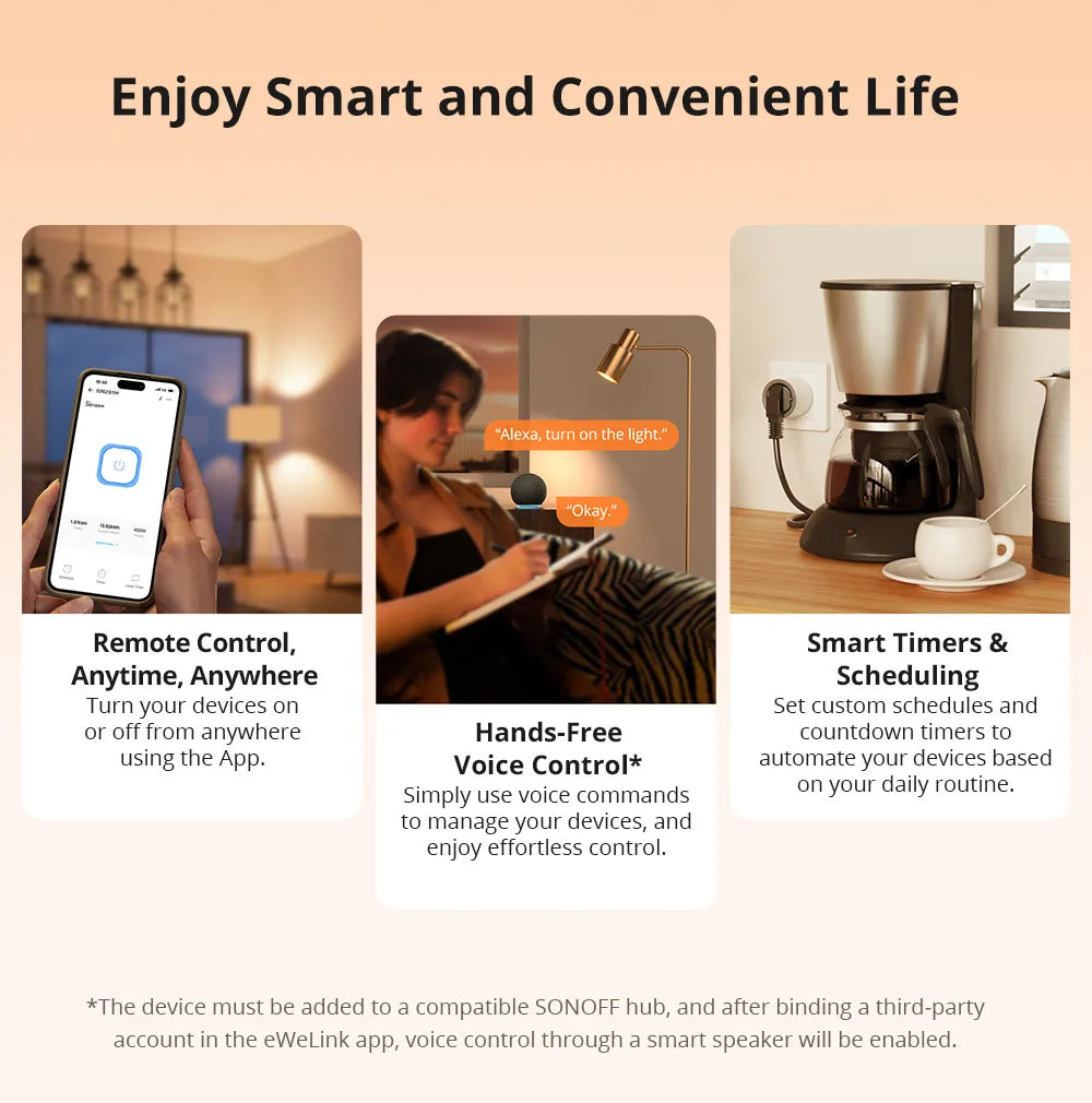 SONOFF S60ZB Zigbee Smart Plug EU/UK
