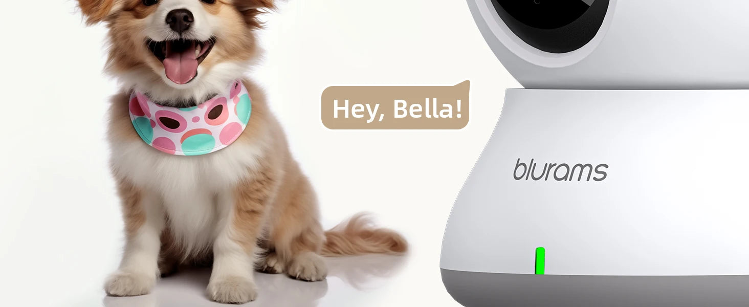 Blurams 2K Baby Monitor Camera