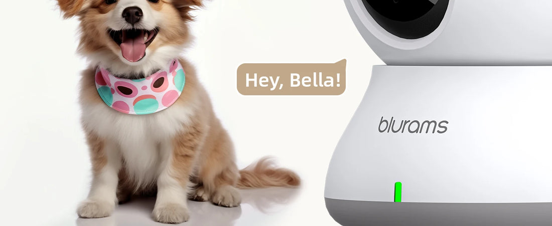 Blurams 2K Baby Monitor Camera