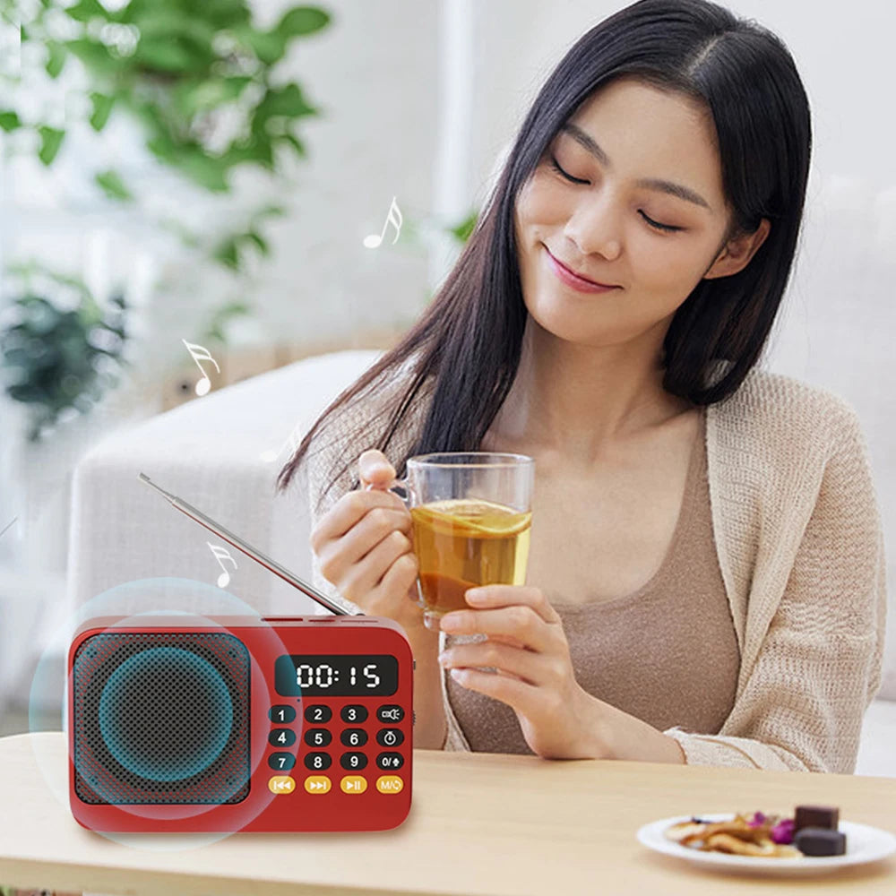 Portable Digital FM Radio Music Player with USB/TF Support and LED Display