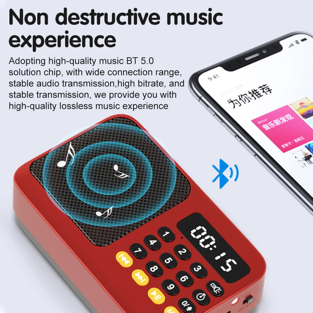 Portable Digital FM Radio Music Player with USB/TF Support and LED Display