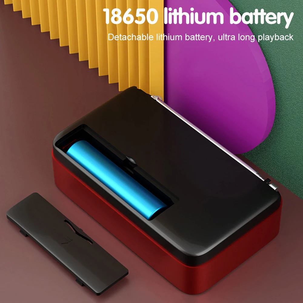 Portable Digital FM Radio Music Player with USB/TF Support and LED Display