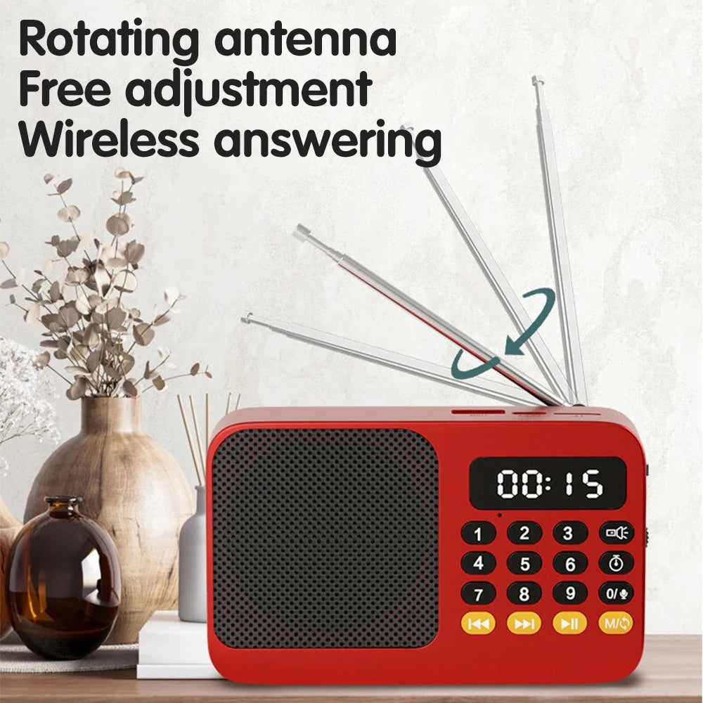 Portable Digital FM Radio Music Player with USB/TF Support and LED Display