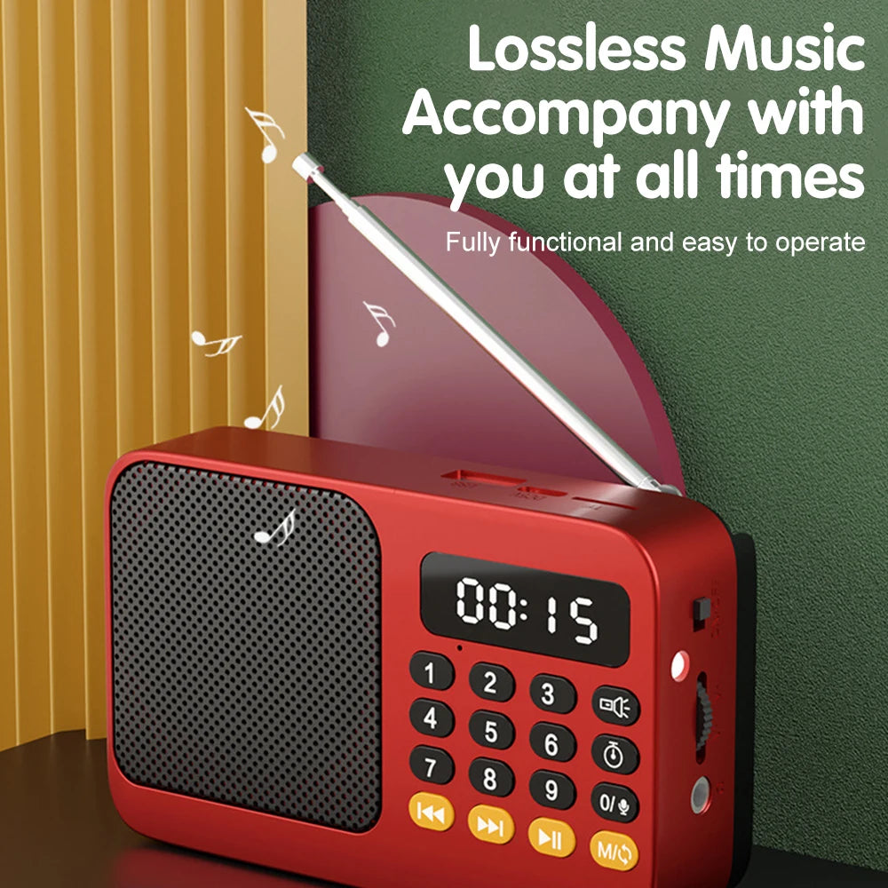 Portable Digital FM Radio Music Player with USB/TF Support and LED Display