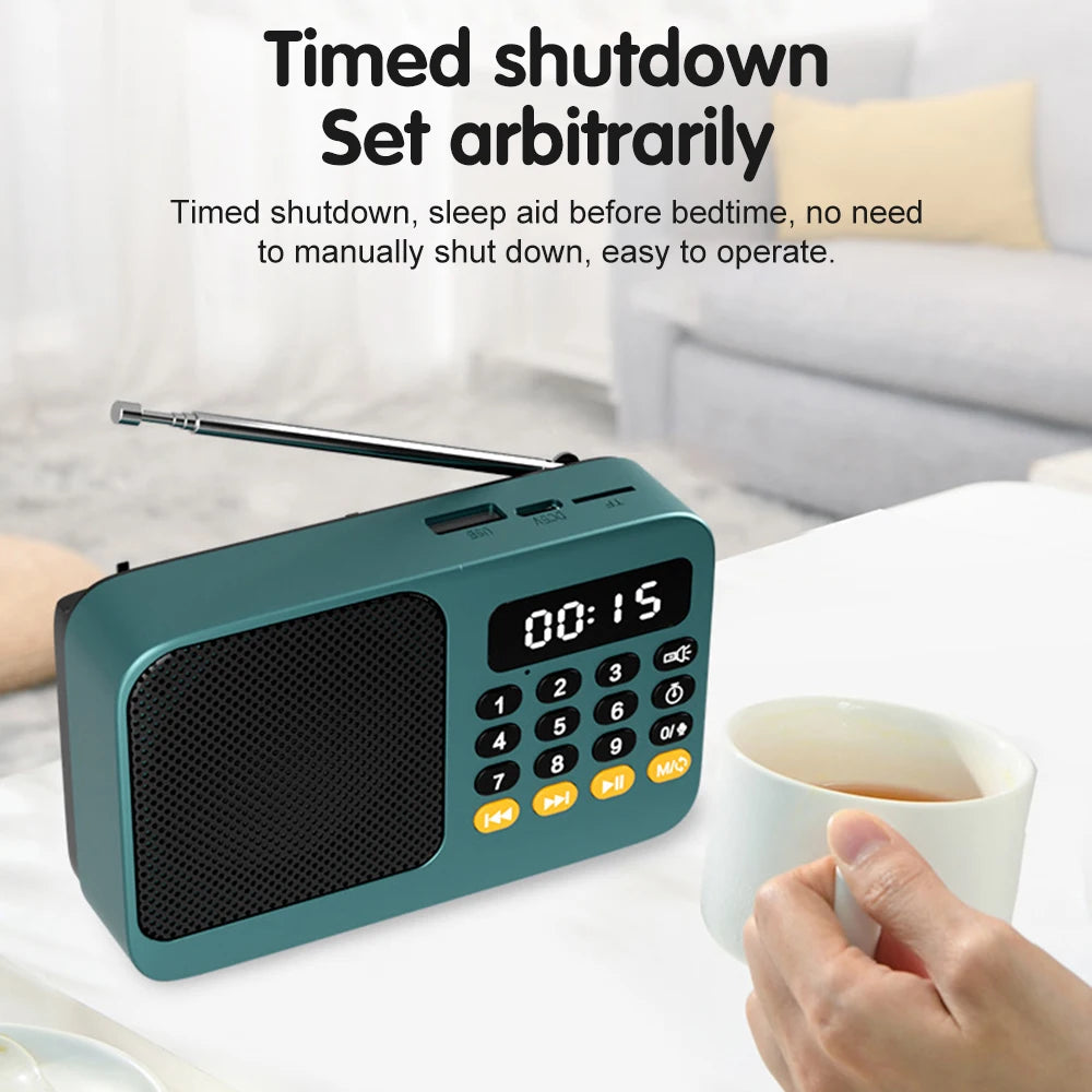 Portable Digital FM Radio Music Player with USB/TF Support and LED Display
