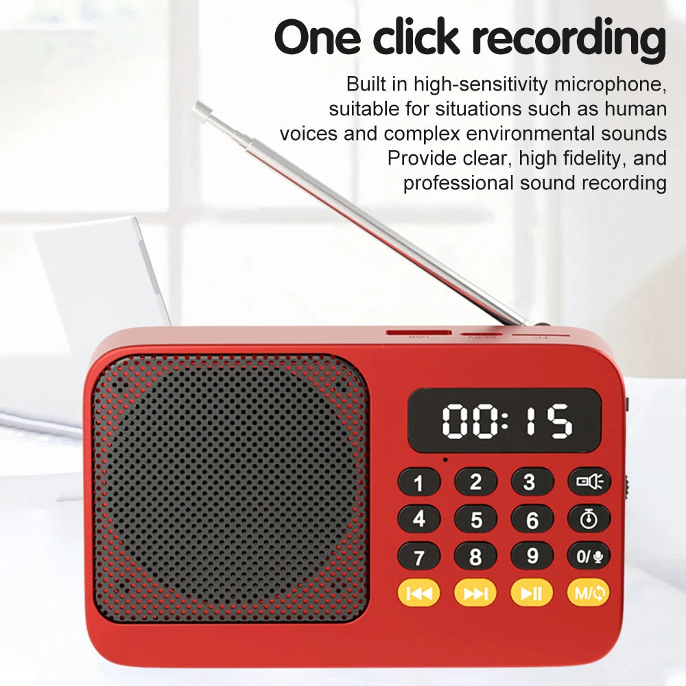 Portable Digital FM Radio Music Player with USB/TF Support and LED Display