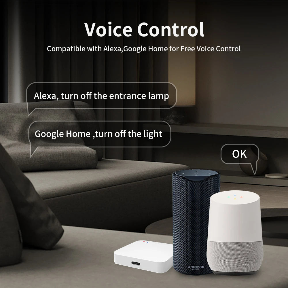 TNCE Tuya WiFi Zigbee Smart Wall Switch