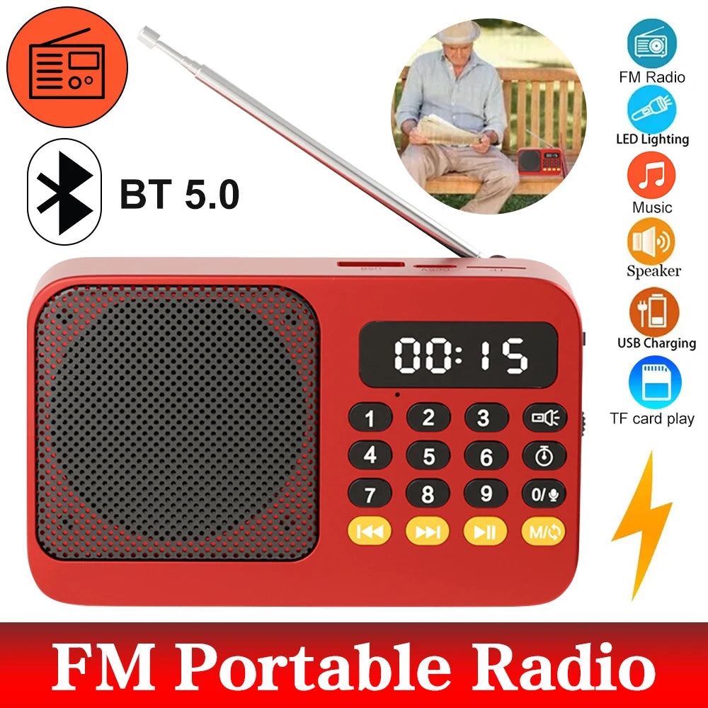 Portable Digital FM Radio Music Player with USB/TF Support and LED Display